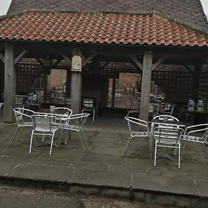 The Buck Hotel